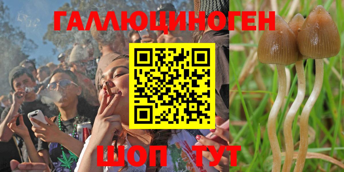Старая Купавна  Галлюциногенные грибы Psilocybine cubensis  Вход с VPN 
